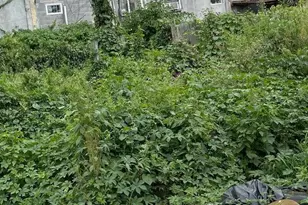 621 W Courtland St, Philadelphia, PA 19140 - Photo 1