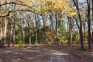 393 Port Royal Ave, Philadelphia, PA 19128 - Photo 1