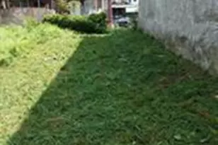 2931 N Stillman St, Philadelphia, PA 19132 - Photo 1