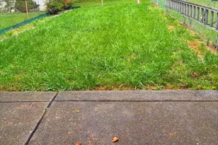 12517 Ramer Rd, Philadelphia, PA 19154 - Photo 21