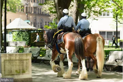 1830 Rittenhouse Square #1C, Philadelphia, PA 19103 - Photo 31