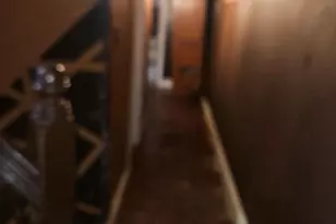 5124 Newhall St, Philadelphia, PA 19144 - Photo 25