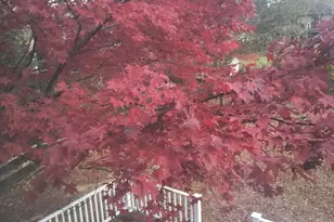 947 Caledonia St, Philadelphia, PA 19128 - Photo 63