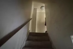 6492 Lensen St, Philadelphia, PA 19119 - Photo 11