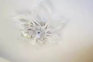 6151 Tackawanna St, Philadelphia, PA 19135 - Photo 13