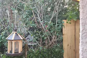 2626 E Cambria St, Philadelphia, PA 19134 - Photo 27