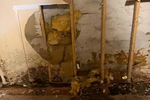 5426 Whitby Ave, Philadelphia, PA 19143 - Photo 3