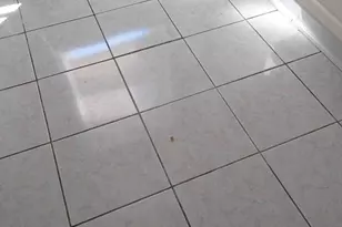 6281 Souder St, Philadelphia, PA 19149 - Photo 9