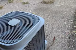 5819 Bustleton Ave, Philadelphia, PA 19149 - Photo 25