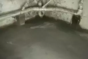 534 Dudley St, Philadelphia, PA 19148 - Photo 5