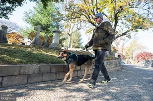 3407 W Lippincott St, Philadelphia, PA 19132 - Photo 57