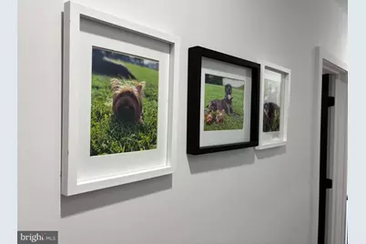 2694 Bridge Street, Philadelphia, PA 19137 - Photo 21