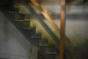 529 E Queen Ln, Philadelphia, PA 19144 - Photo 5