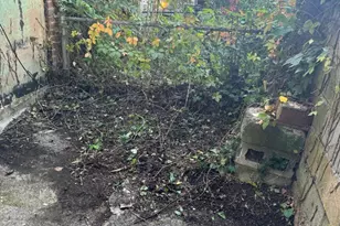 529 E Queen Ln, Philadelphia, PA 19144 - Photo 9