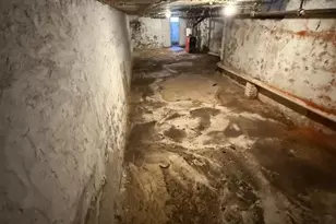 131 W Hansberry St, Philadelphia, PA 19144 - Photo 35