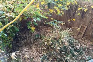 819 N Brooklyn St, Philadelphia, PA 19104 - Photo 11