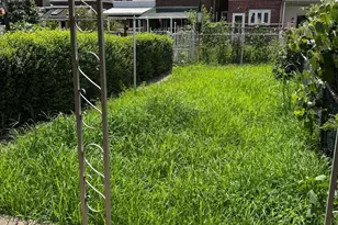 3167 E Thompson St, Philadelphia, PA 19134 - Photo 25