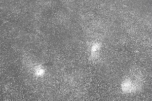 2515 N 4th St, Philadelphia, PA 19133 - Photo 47