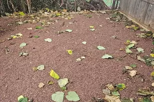 2515 N 4th St, Philadelphia, PA 19133 - Photo 49