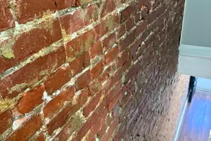 3151 Tulip St, Philadelphia, PA 19134 - Photo 11