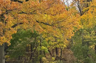 3900 Ford Rd, Philadelphia, PA 19131 - Photo 17