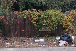 1064 Wagner Ave, Philadelphia, PA 19141 - Photo 5