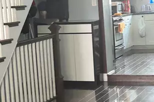 2227 S Darien St, Philadelphia, PA 19148 - Photo 3