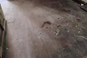 1940 E Wishart St, Philadelphia, PA 19134 - Photo 3