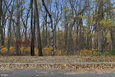 945 Manatawna Avenue, Philadelphia, PA 19128 - Photo 33