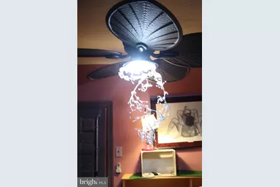 121 E Tulpehocken, Philadelphia, PA 19144 - Photo 23