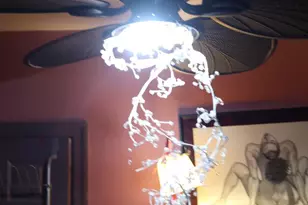 121 E Tulpehocken, Philadelphia, PA 19144 - Photo 23