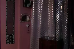 121 E Tulpehocken, Philadelphia, PA 19144 - Photo 19