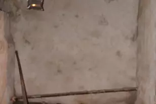 121 E Tulpehocken, Philadelphia, PA 19144 - Photo 31