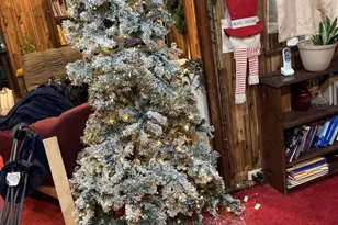 4943 N Warnock St, Philadelphia, PA 19141 - Photo 5