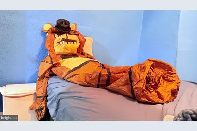 228 W Ontario Street, Philadelphia, PA 19140 - Photo 49