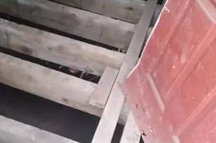 3018 W Glenwood Ave, Philadelphia, PA 19121 - Photo 3