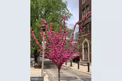 330 S Juniper Street #3B, Philadelphia, PA 19107 - Photo 15