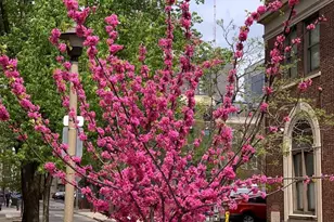 330 S Juniper St, Philadelphia, PA 19107 - Photo 15