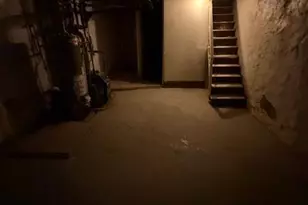 5553 Torresdale Ave, Philadelphia, PA 19124 - Photo 17