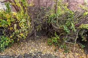 1139 W Somerset St, Philadelphia, PA 19133 - Photo 25