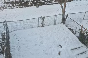 7918 Cottage St, Philadelphia, PA 19136 - Photo 39