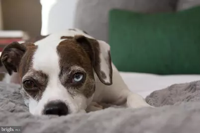 121 N 2nd Street #622, Philadelphia, PA 19106 - Photo 17