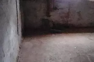 1902 Brunner St, Philadelphia, PA 19140 - Photo 7