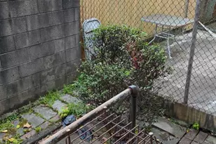 147 N Ruby St, Philadelphia, PA 19139 - Photo 31