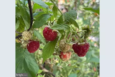 5134 Cedar, Philadelphia, PA 19143 - Photo 27