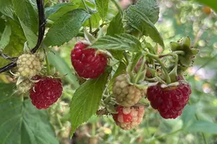 5134 Cedar, Philadelphia, PA 19143 - Photo 27