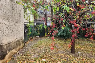 2343 N Fawn St, Philadelphia, PA 19133 - Photo 3