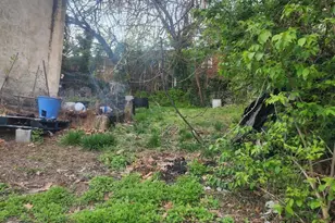 457 E Price St, Philadelphia, PA 19144 - Photo 3