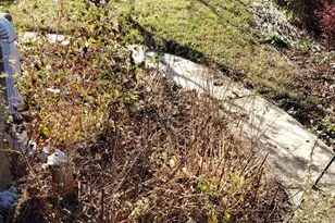 7419 Bingham St, Philadelphia, PA 19111 - Photo 3