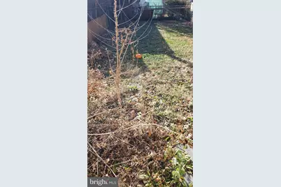 7419 Bingham Street, Philadelphia, PA 19111 - Photo 5